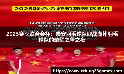 2025赛季联合会杯:泰安羽毛球队迎战湖州羽毛球队的荣耀之争之夜