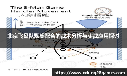 北京飞盘队默契配合的战术分析与实战应用探讨